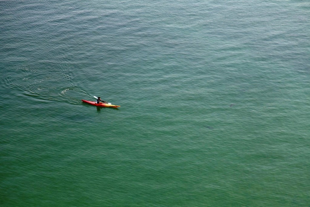 Omar chasing the black tip sharks