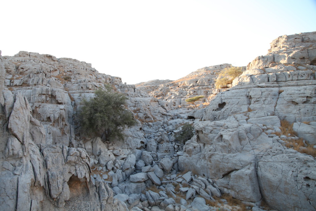 The canyon during the hike.