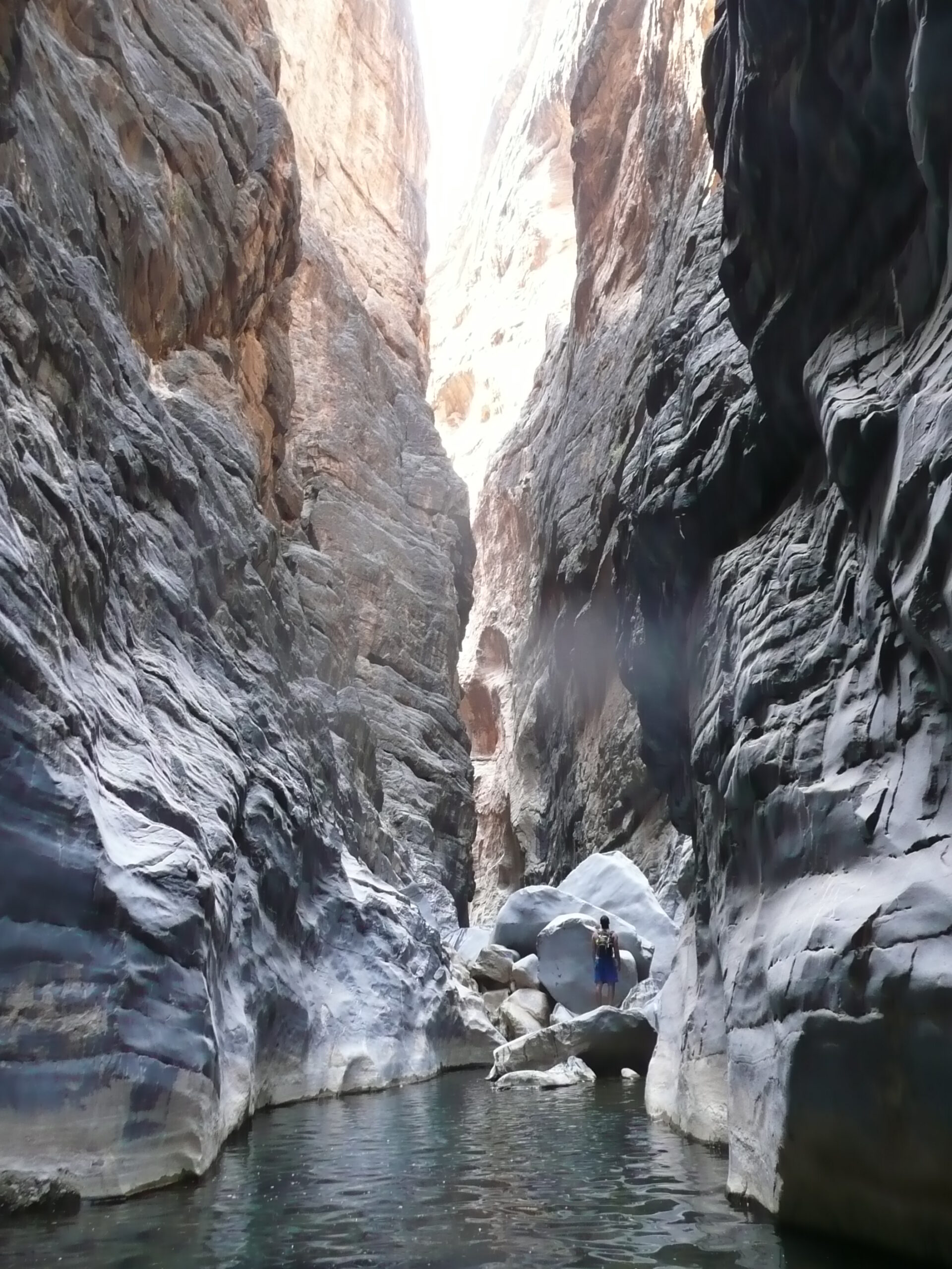 toufic abou nader Snake canyon