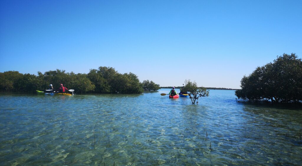 Kayaking between UAE’s remote islands