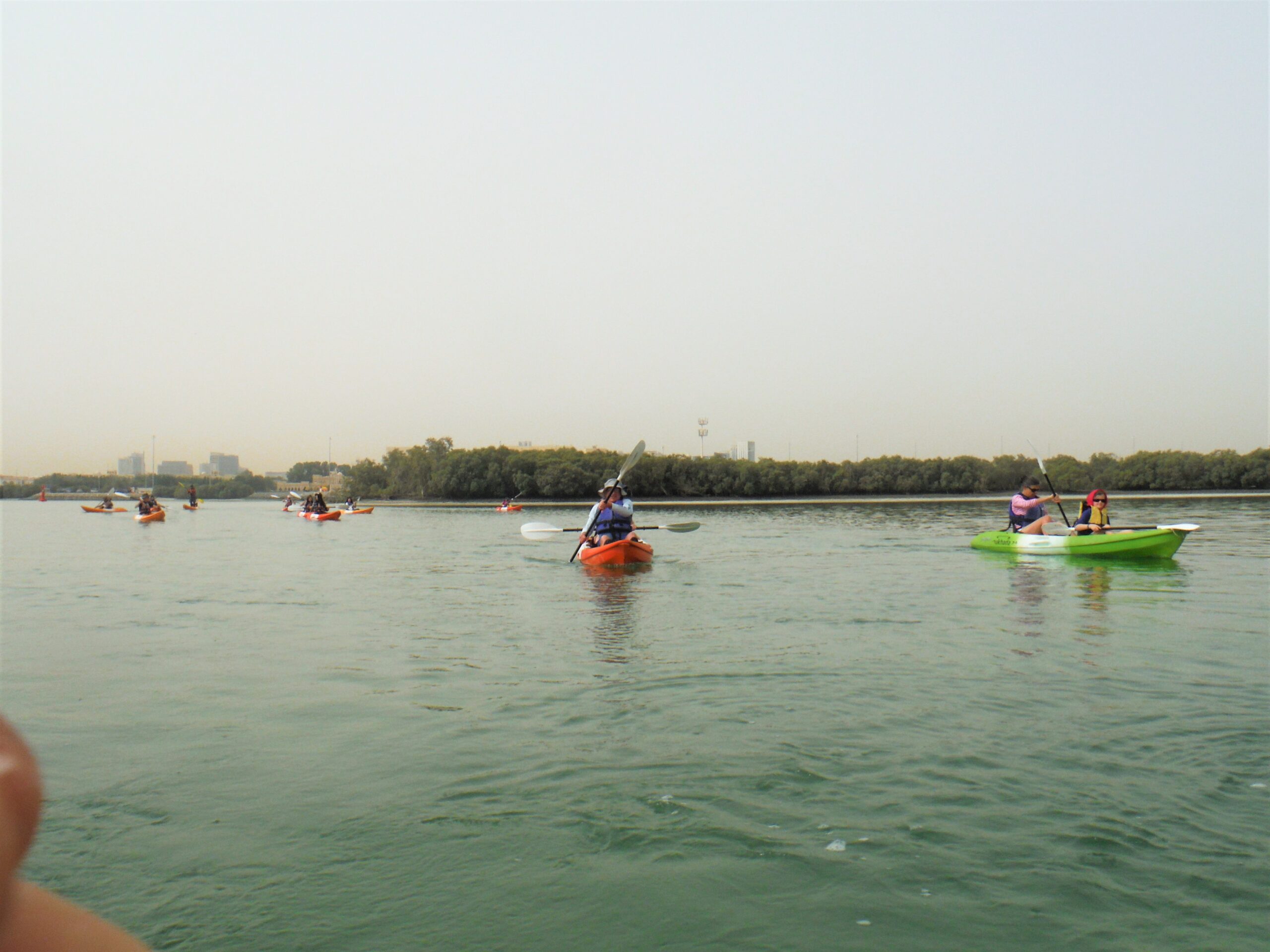 Kayaking at Abu Dhabi Mangrove