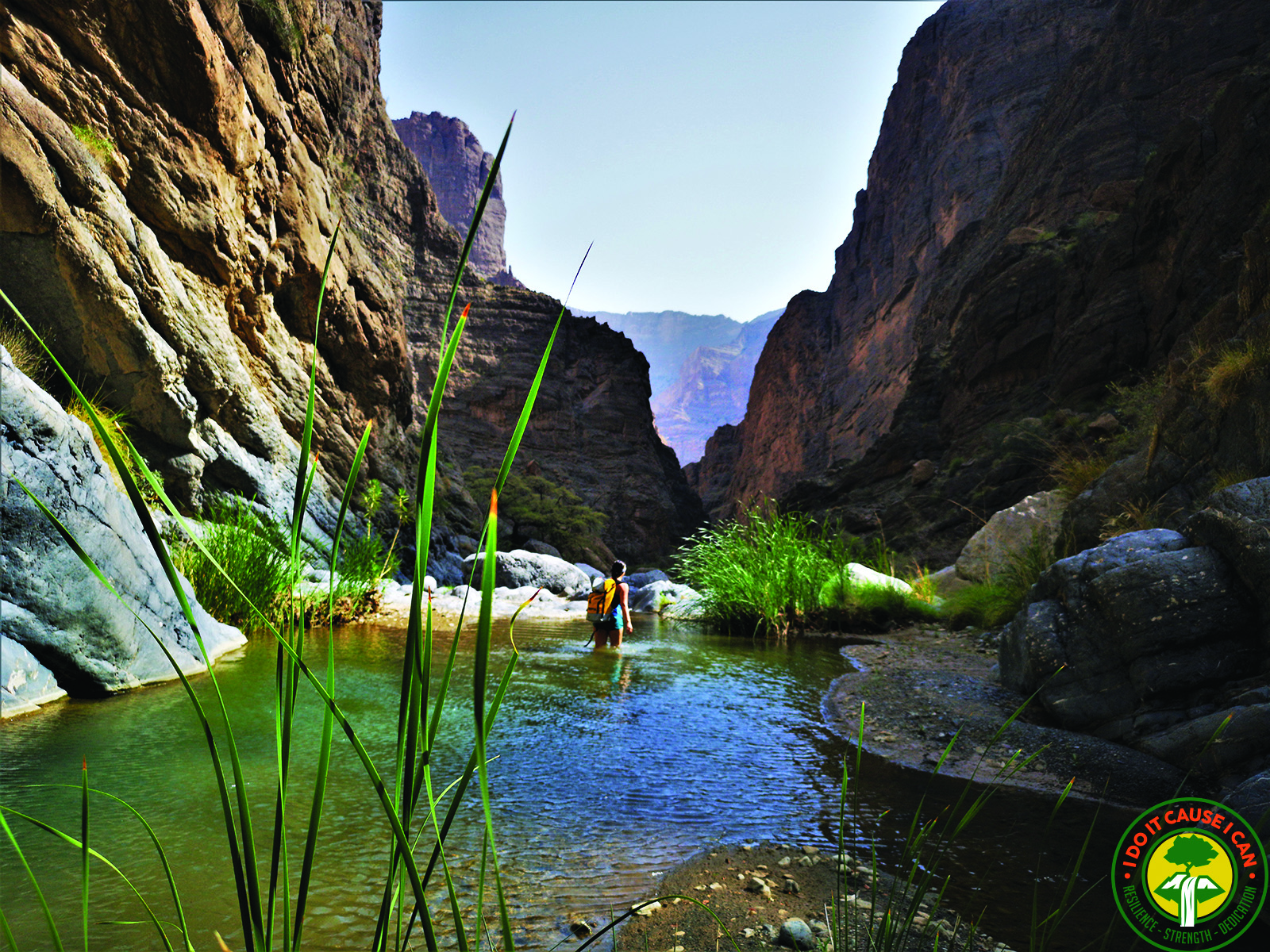 Wadi Saada
